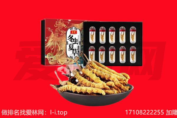 萍乡回收虫草.jpg